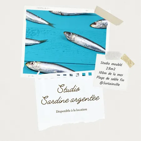 Sardine Argentée à 100m Surf Randos Gr 223 Jardin Appartamento