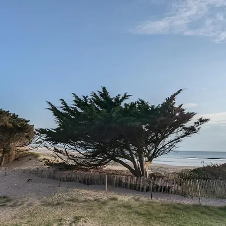 Sardine Argentée à 100m Surf Randos Gr 223 Jardin Appartamento Surtainville