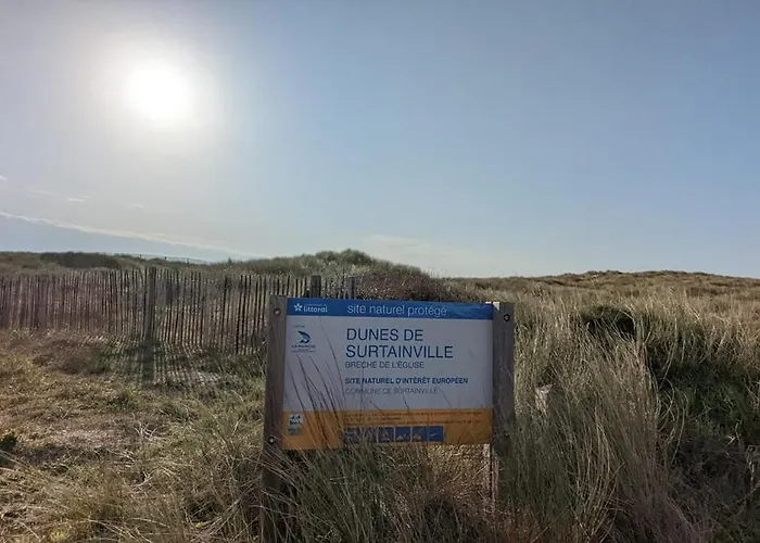 Sardine Argentee A 100m Surf Randos Gr 223 Jardin * Surtainville