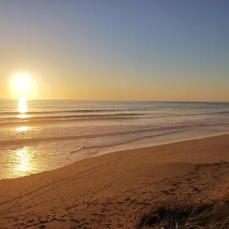 Sardine Argentee A 100m Surf Randos Gr 223 Jardin *