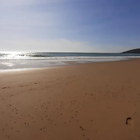 Sardine Argentee A 100m Surf Randos Gr 223 Jardin