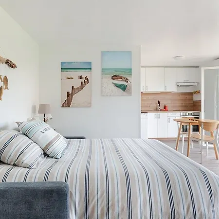 Sardine Argentee A 100m Surf Randos Gr 223 Jardin Apartment