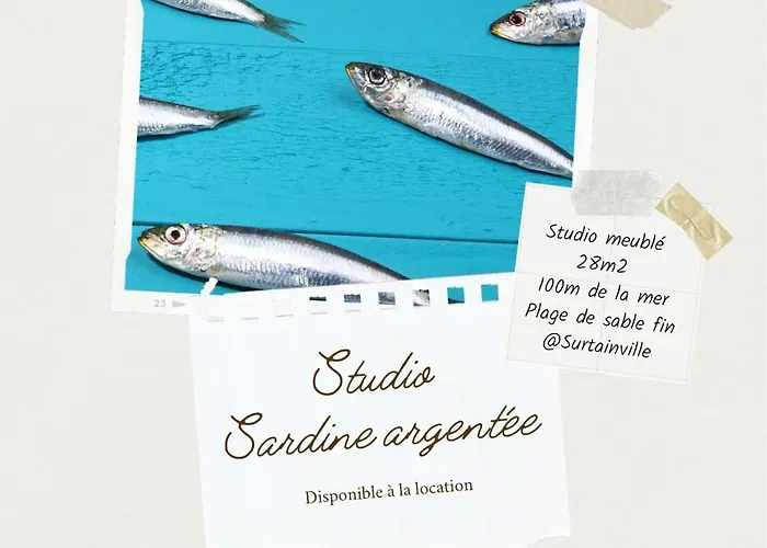 Sardine Argentee A 100m Surf Randos Gr 223 Jardin Apartment