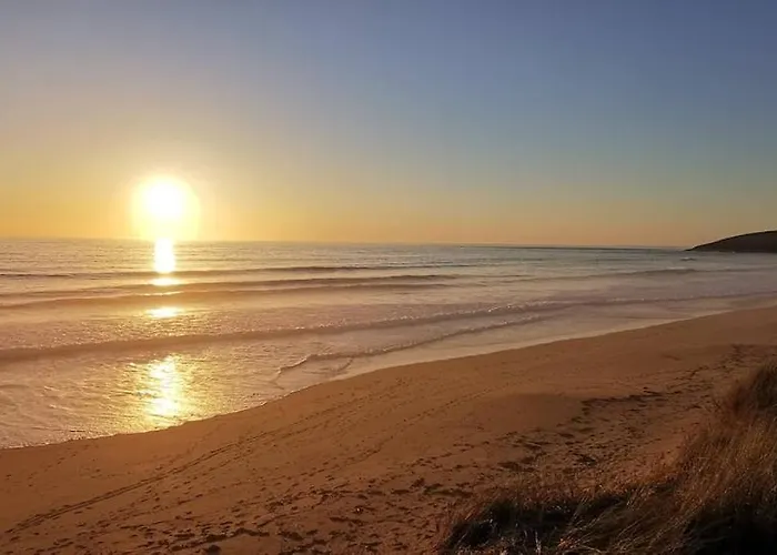 Sardine Argentee A 100m Surf Randos Gr 223 Jardin *