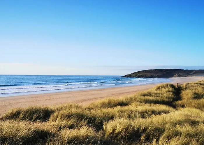 Sardine Argentee A 100m Surf Randos Gr 223 Jardin Surtainville