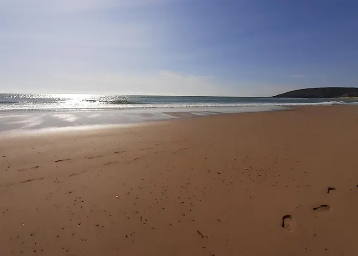 Sardine Argentee A 100m Surf Randos Gr 223 Jardin