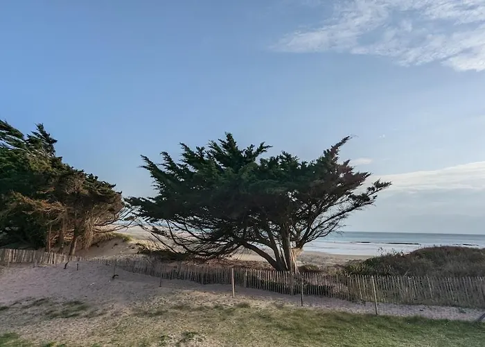 Sardine Argentee A 100m Surf Randos Gr 223 Jardin Apartment Surtainville