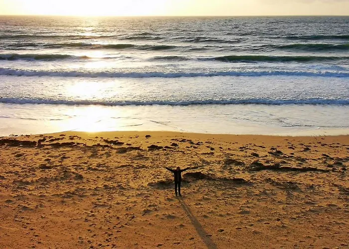 Apartment Sardine Argentee A 100m Surf Randos Gr 223 Jardin Surtainville