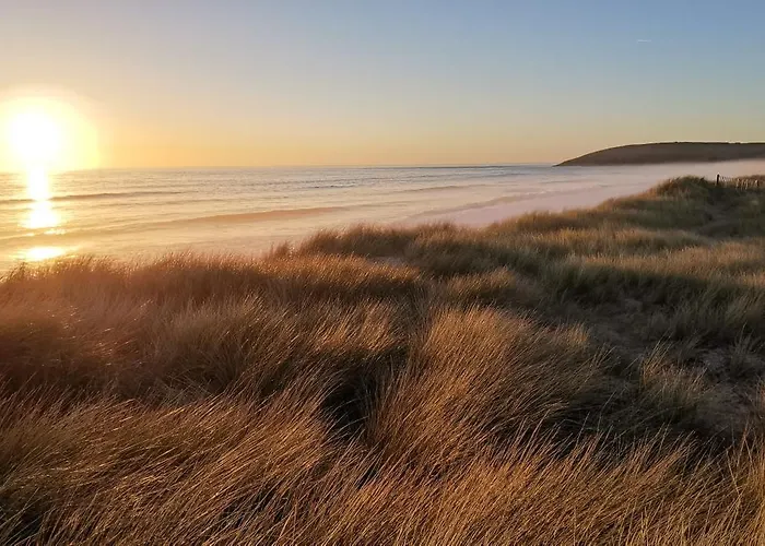 Sardine Argentee A 100m Surf Randos Gr 223 Jardin Surtainville