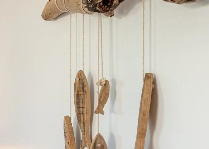 Sardine Argentee A 100m Surf Randos Gr 223 Jardin