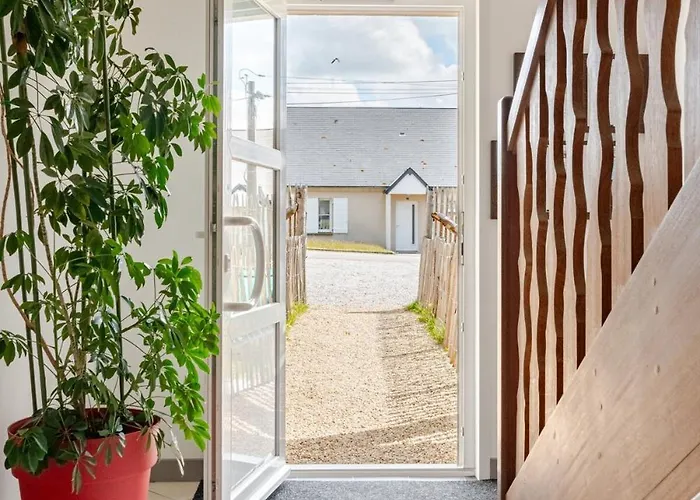 Sardine Argentee A 100m Surf Randos Gr 223 Jardin Apartment Surtainville